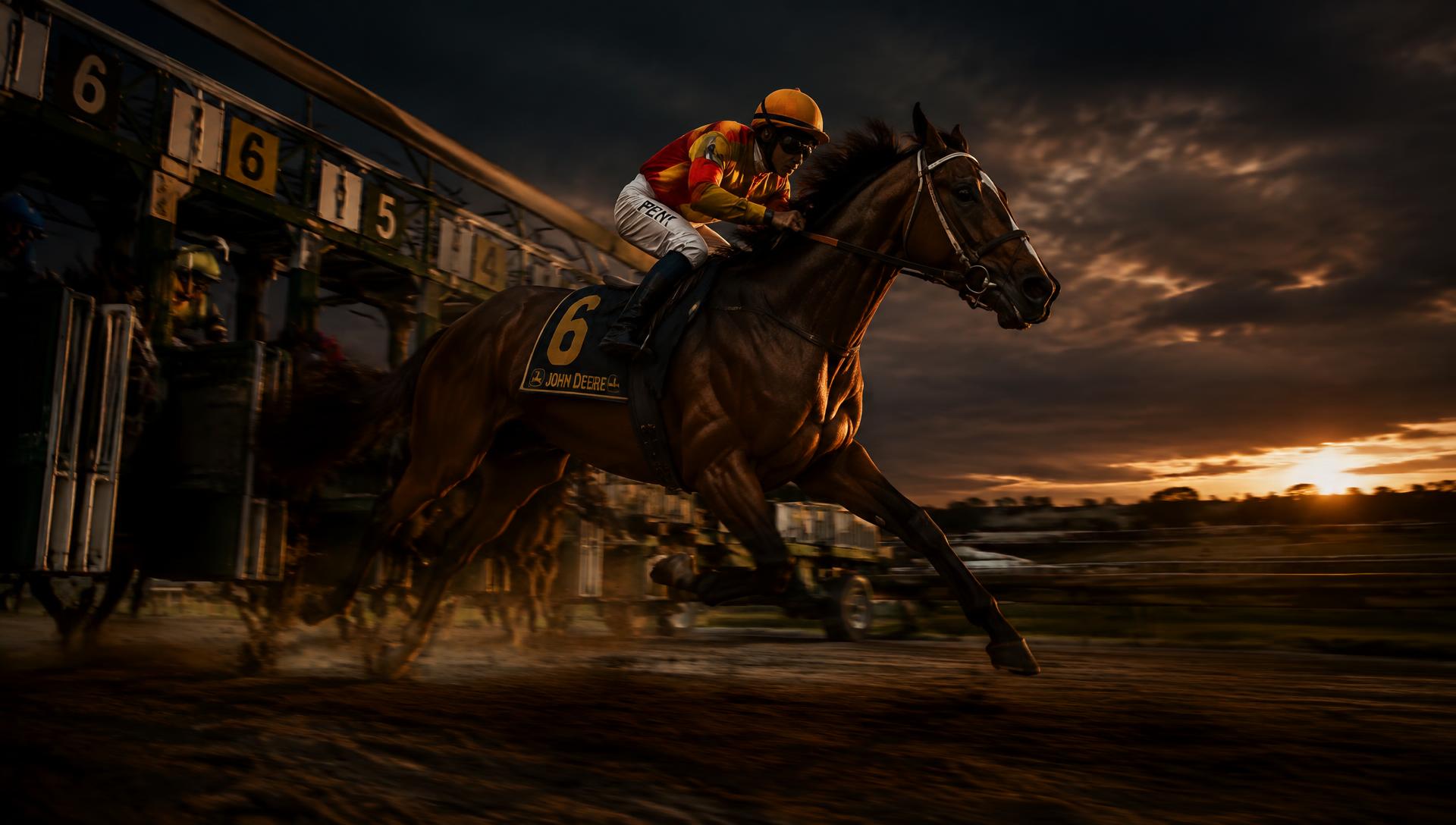A jockey in racing silks driving a racehorse out of the starting gate at dusk